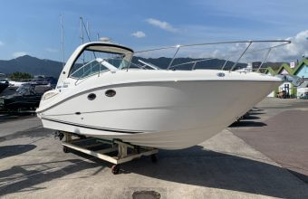 SeaRay 290 DA MODEL